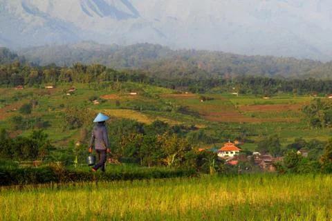 Village Stock Photos