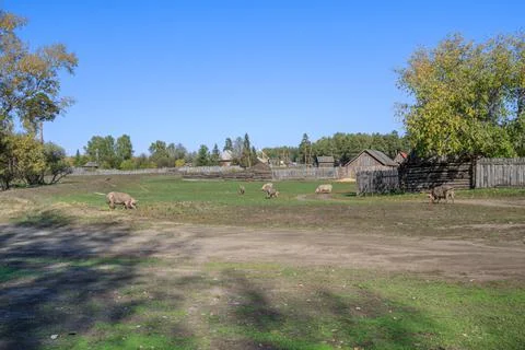 Village Foto stock