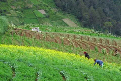 Village 库存照片