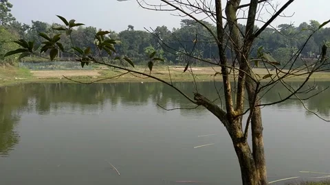 A village pond 스톡 동영상 228023043