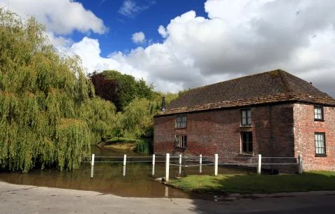 The village pond Stock Photos