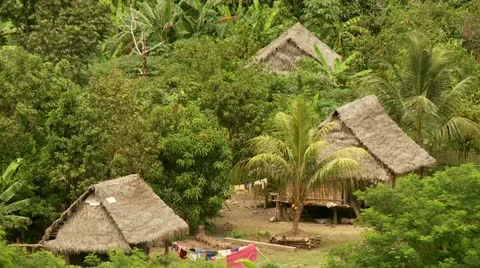 Village In Rainforest from above Video stock 10810083