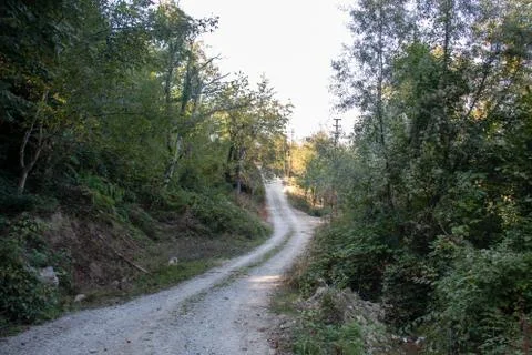 Village road Stock Photos