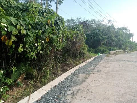 Village Road Stock Photos