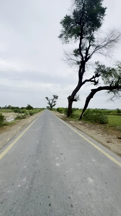 Village Road Surrounded by Green Fields Under Cloudy Sky Stock Footage 308997099