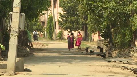 Village scene of rural India.Stock Footage