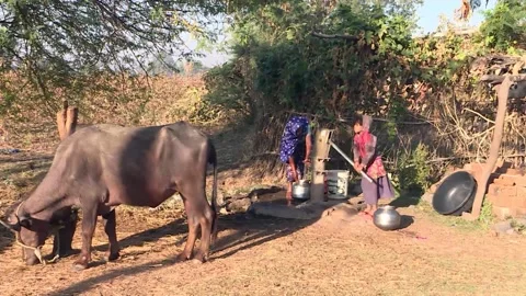 Village scene of rural India.Stock Footage