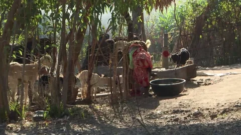 Village scene of rural India.Stock Footage