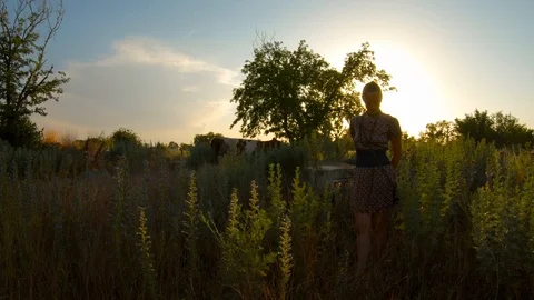 Village shepherdess stands in rays of sunset among green cows on background 스톡 동영상 120192544