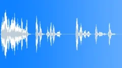 Village snarling dogsSound Effect