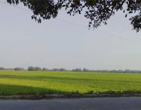 Village sosco khat 스톡 사진