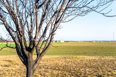 Village spring Stock Photos