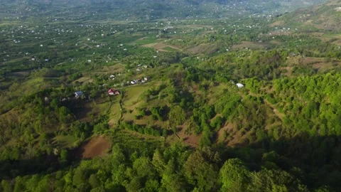 Village in the summer mountain forest Stock-Footage 168945906