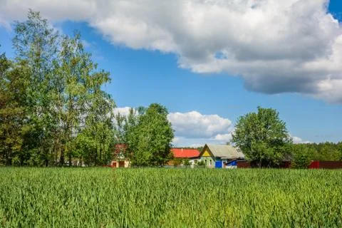 The village in summer Stock Photos