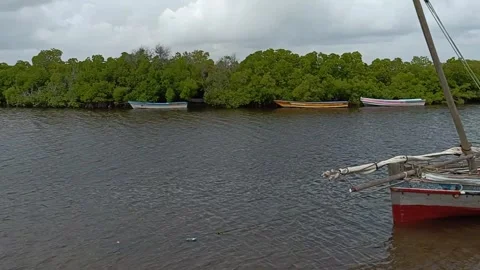 Village surrounded by mangrove Stock Footage 269623645