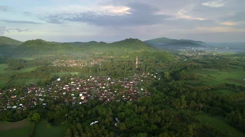 Village surrounded by rice fields, mountains and coconut trees in the morning Stock Footage