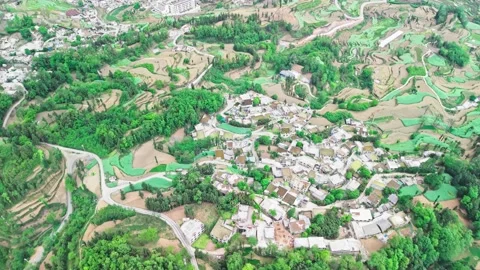 Village trees are distributed on hillside terraces. Stock Footage 311738791