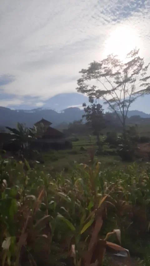 Village view in backhouse Video stock 242646727