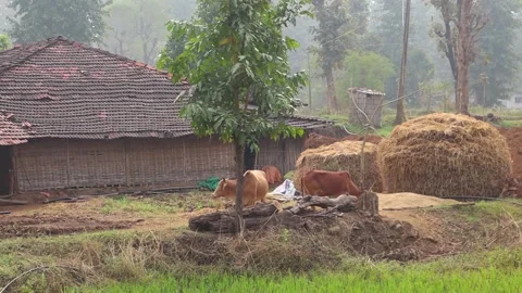 Village View Stock Footage 168345855