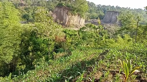 Village view Stock Footage 221587513