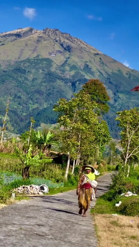 Village view Video stock 232277268