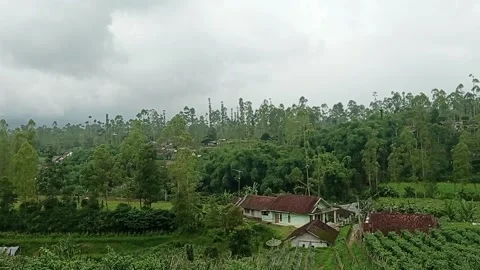 Village View Stock Footage 233873183
