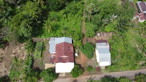 Village view Stock Footage 243251069