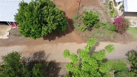 Village view Stock Footage 243251081