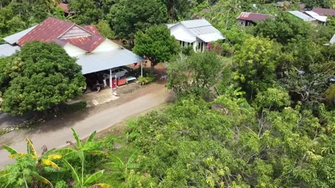 Village view Stock Footage 243251134