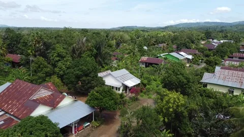 Village view Stock Footage 243251145