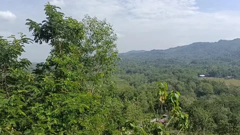 Village view Video stock 243791605