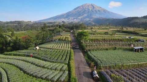 Village Views Stock Footage 149856506