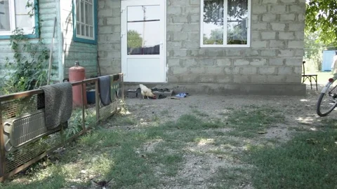 Village yard in summer Video stock 79754472