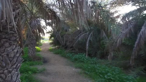 Village03 Stock Footage 259319970