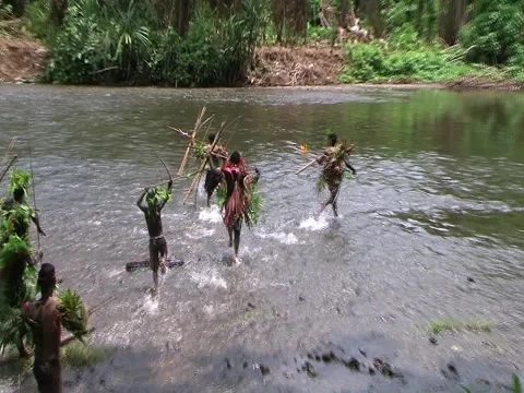 Villagers dance Stock Footage 3548757