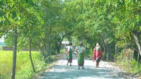 Villagers Walking Tree-Lined Path in Assam Countryside Stock Footage 341457348