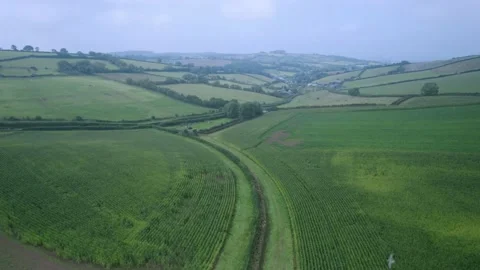 Villages and Fields from a drone, Devon, England, Europe Stock-Footage 161086021