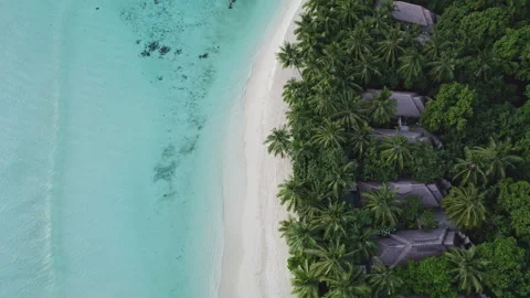 Villas among palm trees on the beach in the Maldives Stock Footage 242108352