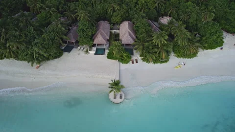 Villas among palm trees on the beach in the Maldives Stock Footage 252850046