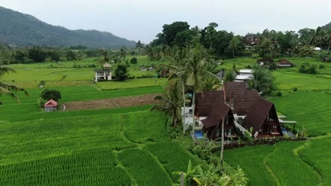 Villas in Sidemen surrounded by nature fields views Stock Footage 303574398