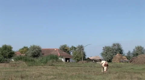 Villlage Stock Footage