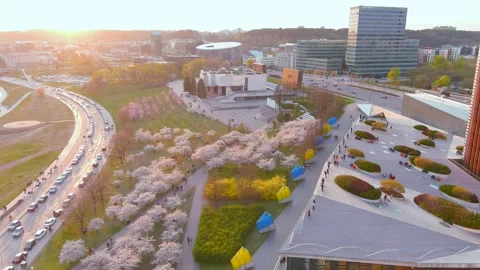 VILNIUS, LITHUANIA - MAY 2, 2022: Aerial view of blossoming Sugihara sakura park Stock-Footage 304058847