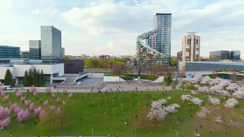 VILNIUS, LITHUANIA - MAY 2, 2022: Aerial view of blossoming Sugihara sakura park Stockbeeldmateriaal 304058912
