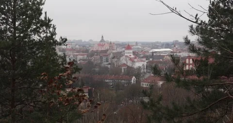 Vilnius old town skyline framed by pines on a grey autumn day. Stock Footage 320168475