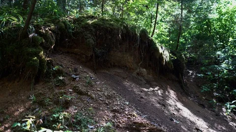 Vilsos river scarp, Lithuania Stock Footage 113965368