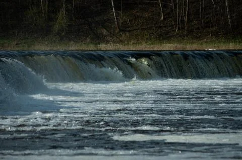 Vimba fish jumps, flies by the waterfall Stock Photos