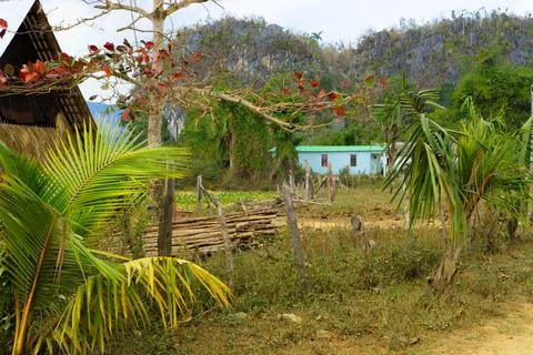 Vinales-9 Stock Photos