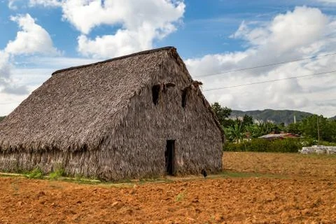 Vinales, Cuba, Stock Photos