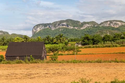 Vinales, Cuba Foto stock