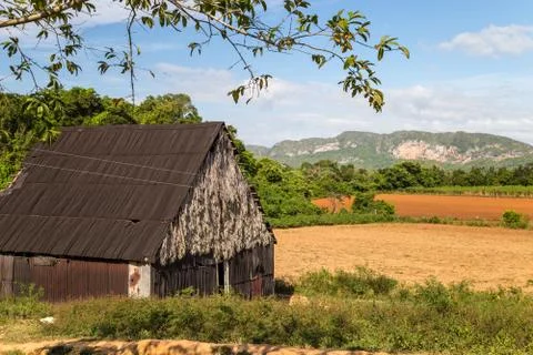 Vinales, Cuba, Stock Photos